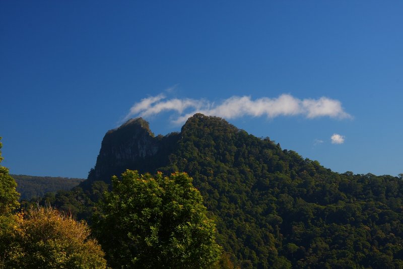 005 Mount Cougal.JPG