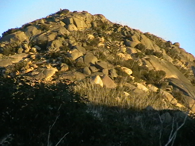 IMGA0211.JPG