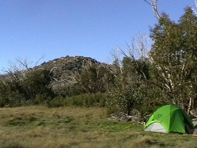 IMGA0205.JPG