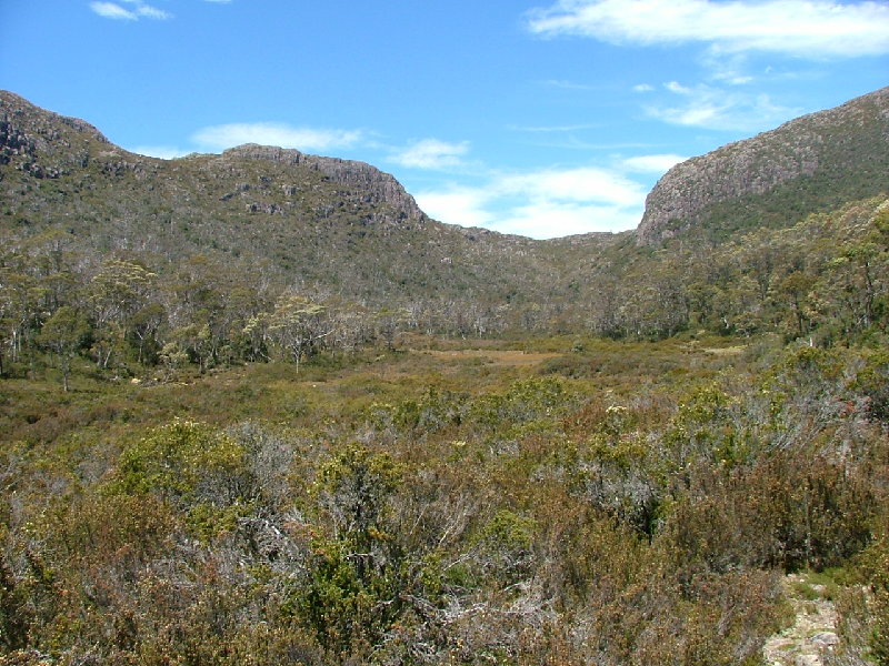 DSCF0790.JPG