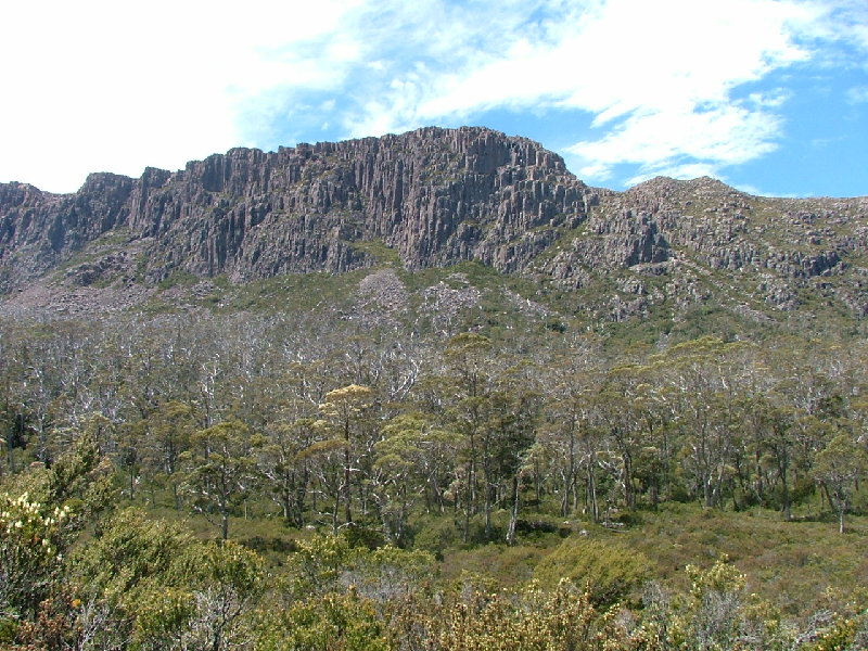 DSCF0791.JPG