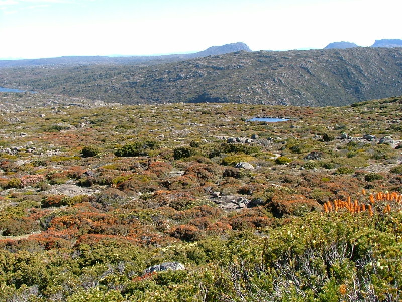 DSCF0819.JPG