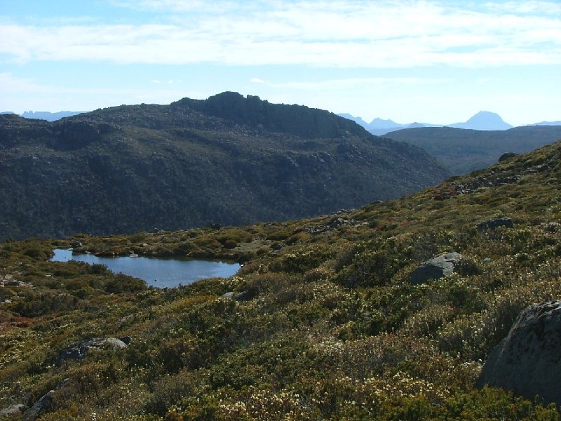 Dscf0820.jpg