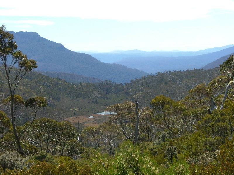 DSCF0794.JPG