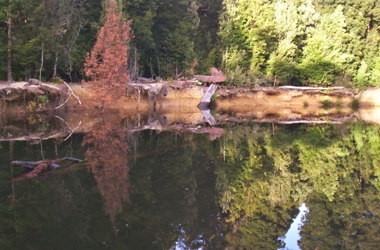 reflections on the whyte river.JPG