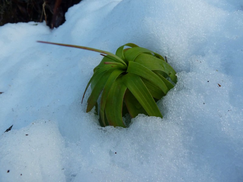 P1020449.jpg