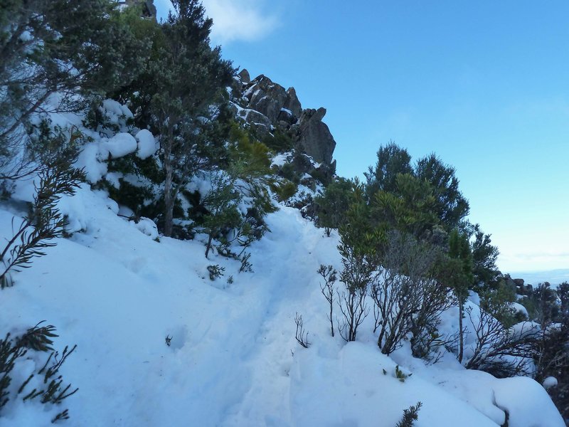 P1020473.jpg