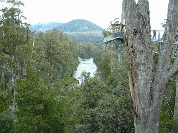 tahune02.jpg