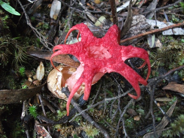 DSCF2055.JPG
