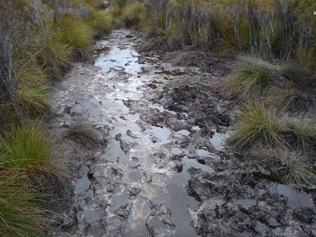DSC03023.JPG