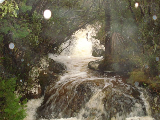 DSC03048.JPG