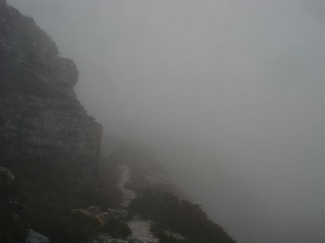 DSC03100.JPG