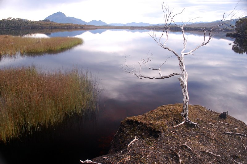 Tasmania - Melaleuca Lagoon 2 (1).JPG