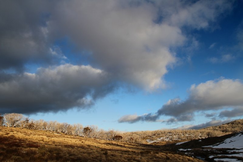 Jagungal wilderness.jpg