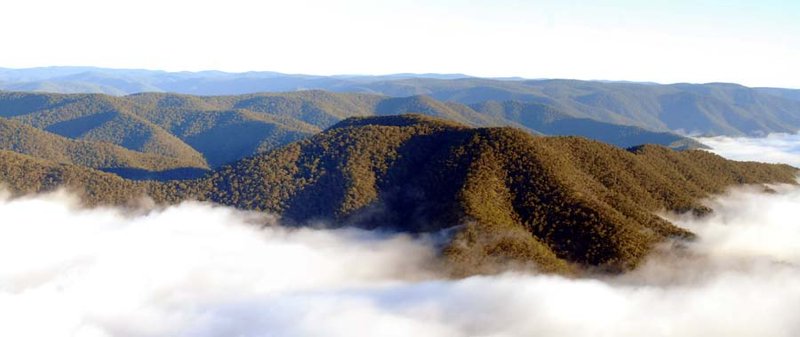 Chaelundi Bluff panorama am.jpg