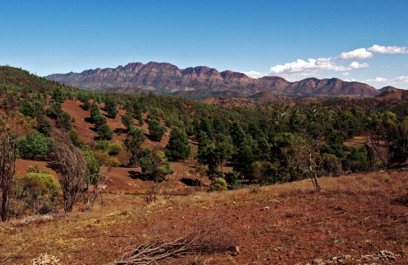 ElderRange4939Crop.jpg