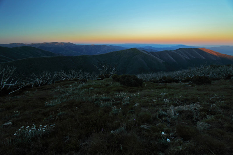 b003882.jpg