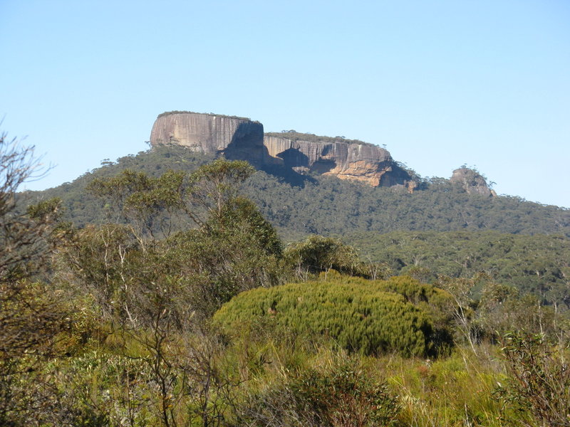 IMG_5882 Mount Hoddle.JPG