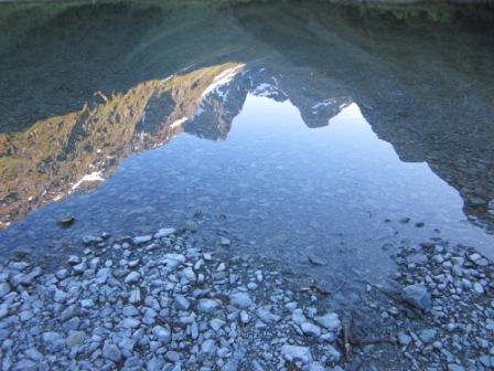 NZ photo.jpg
