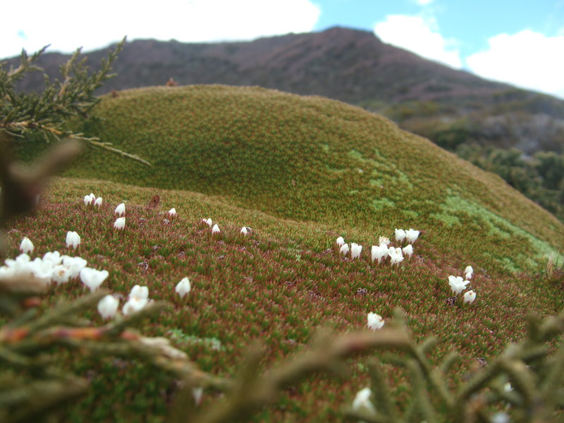 2011_1208nevadapeak0006.JPG