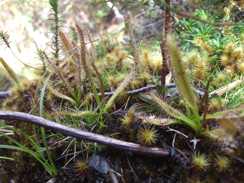 2011_1208nevadapeak0007.JPG