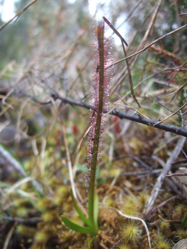2011_1208nevadapeak0015.JPG
