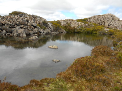 tasfbIMG_0022.JPG