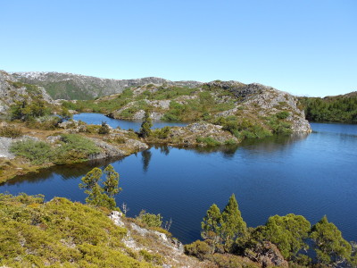 tascradIMG_0024.JPG