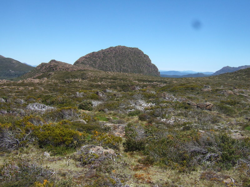 DSCF8780.JPG