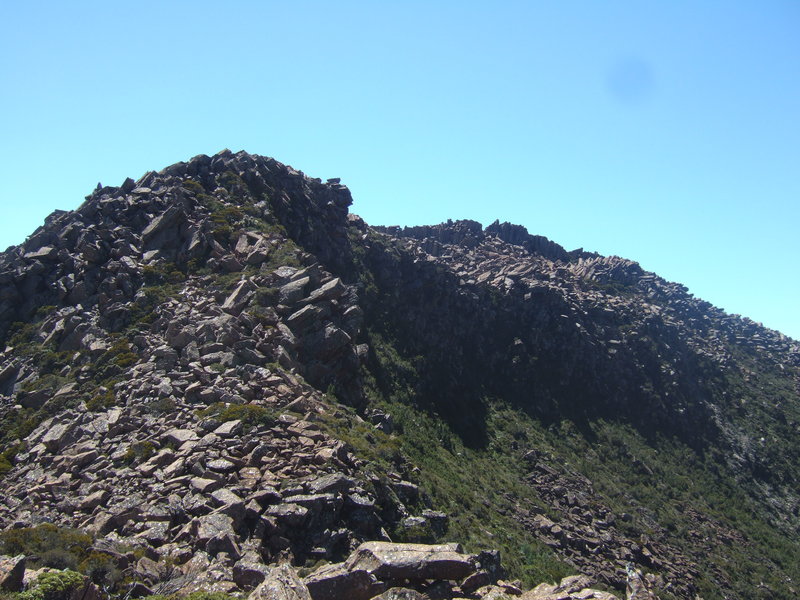 DSCF8830.JPG