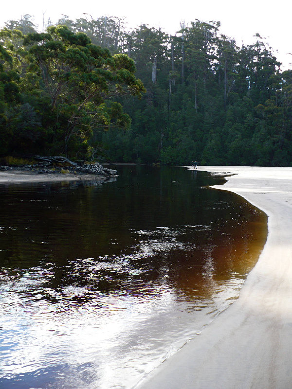 P1040843.JPG