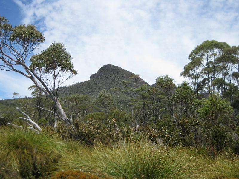 KW1view.jpg