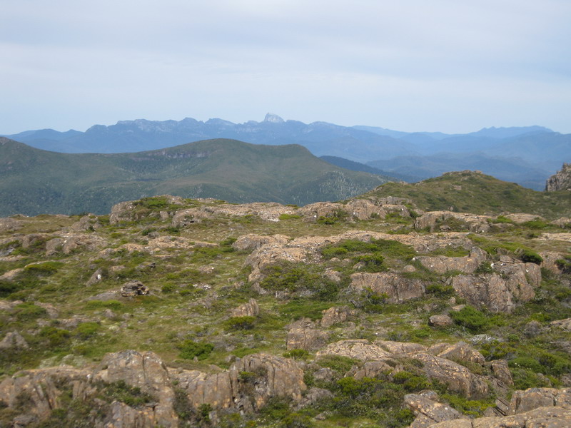 w-view.jpg