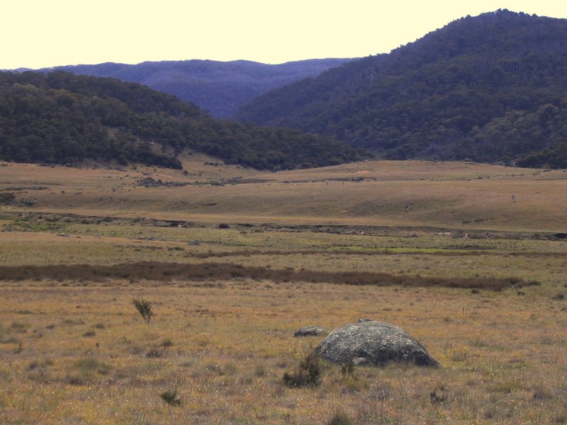 Botherum Plain.jpg