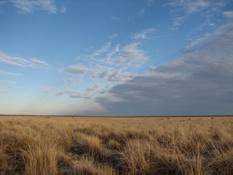 Lake Cawndilla, Kinchega National Park.jpg