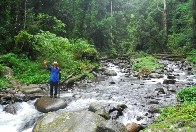 Lamington 2012 140 (640x430).jpg