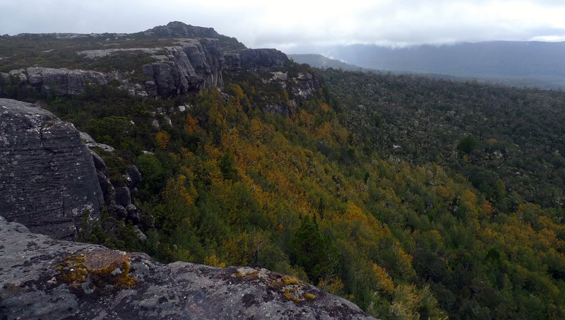 P1080236.JPG