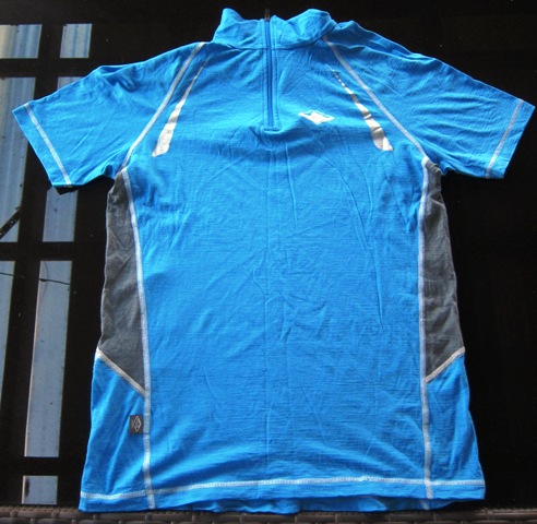 Merino SS Top.JPG