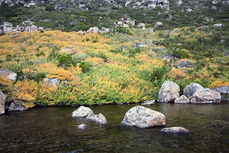 Tarn Shelf 02.JPG