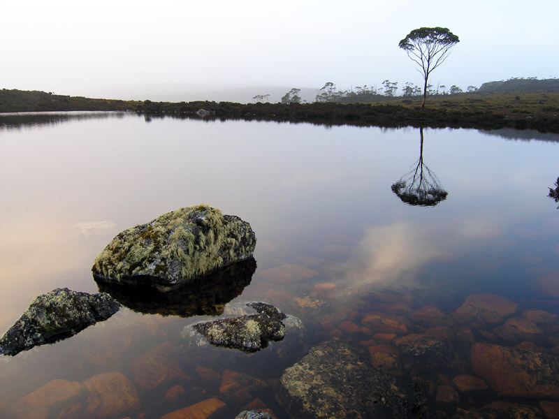 Gloomy-Evening---6300707.jpg