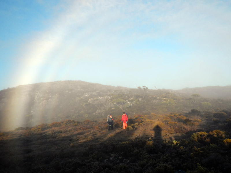 Broken-Spectra---1205.jpg