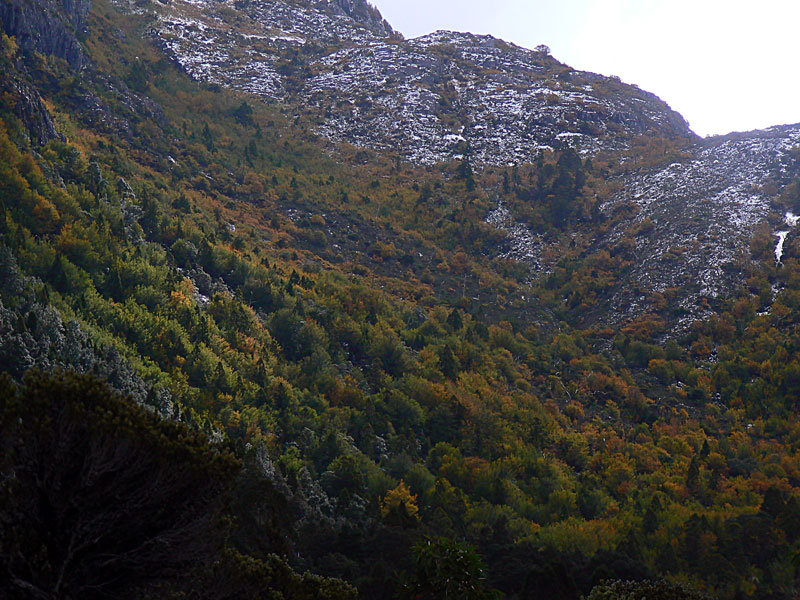 3004-DOVE-LAKE-435.jpg