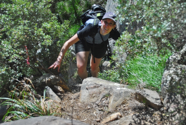 Mount Walsh 044 - Lucinda climbing.jpg