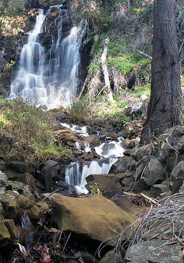 oldakerFalls2.jpg