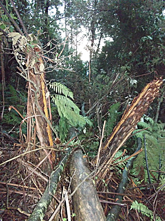 rsz_dscf0189.jpg