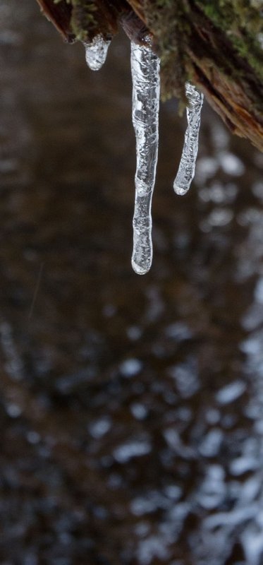 icicles.jpg