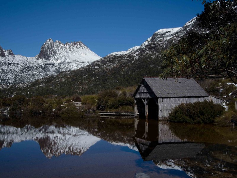 Fuzzy reflections.jpg