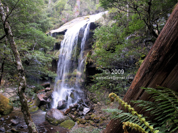 Rinadena1.jpg