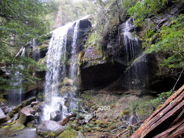 Rinadena2.jpg