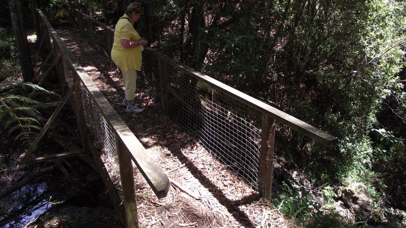 Hogg Ck Falls 5.JPG
